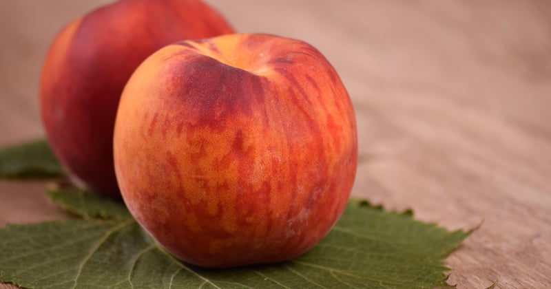 Manger pour rayonner : le régime qui transforme votre peau