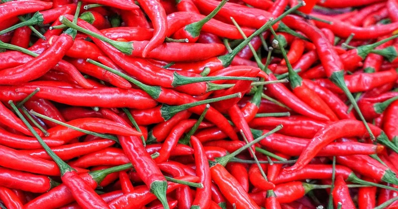 La cuisson en lots : mutualiser le temps et l'énergie