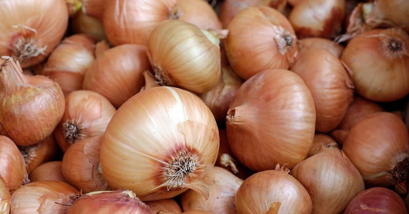 L'essor des marchés fermiers en ligne : le nouveau réflexe des consommateurs